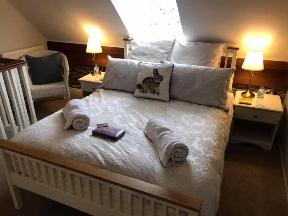 Arthur Street Guest Cottage No16 هيلزبره المظهر الخارجي الصورة